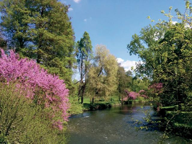 PARCO LAMBRO IN PRIMAVERA 1