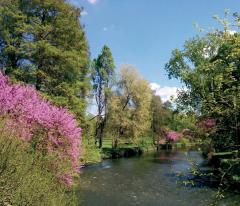 _mini_PARCO LAMBRO IN PRIMAVERA_1.jpg