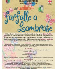 Mostra Farfalle a Lambrate 1